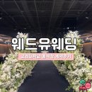 상관회관 | [예식장] 고려대학교 교우회관 웨드유웨딩 투어 계약 후기