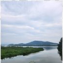 행정사사무소 손길 이미지