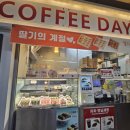 잠실역9번출구 | 잠실 신상 맛집 딸기 오믈렛이 맛있는 차차커피코 잠실역점 전 커피데이즈 내돈내산 솔직후기