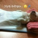 냠냠 네이버블로그
