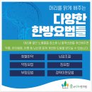 감나무한의원 티스토리