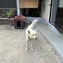 월오포레스트 이미지