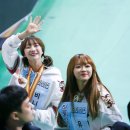 하룻강아지 이미지