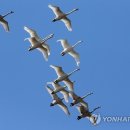 주남산단1로 이미지