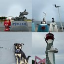 해파랑길 20코스 영덕 가볼만한곳 블루로드 A코스 해맞이공원까지 트레킹여행