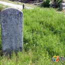 노리마리 이미지