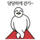 샌디플 이미지