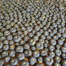 상읍농장 이미지