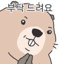 꼬치카야 정도 산본본점