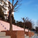 동평여자중학교 이미지