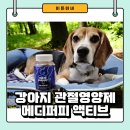 휴먼메디(주) | 기호성 좋은 강아지 관절 영양제 메디퍼피 액티브 급여후기