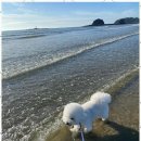 더블루네스 이미지