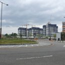 금빛초등학교 앞 이미지