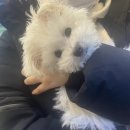 세온동물병원 이미지