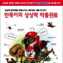 반쪽이 상상력 박물관전 이미지