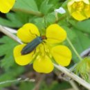 박춘자농장 이미지