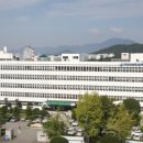 경상남도도교육청 국제신문