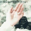 포토샵필터-Spatter 스프레이 반경을 달리하여 애니메이션 만들기 이미지