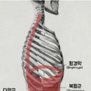 해가든 필라테스 이미지