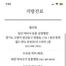 브이아이피메디칼