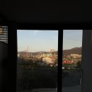 알베센트