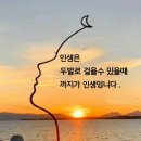 "'청계천'의 일부(무학교~황학교~새벽다리) 걷기"＜2023.11.07(화)＞ 이미지