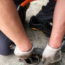 오토오아시스 정림점 이미지