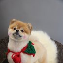 잇츠그루밍타임 이미지