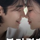 노블리결혼정보