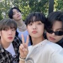 에이스체크 이미지