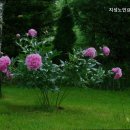 지성노인요양센터 이미지