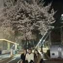 나영상사 이미지