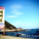 [경북맛집] 태백호 영덕 대게 / 영덕 축산항 경정 이미지