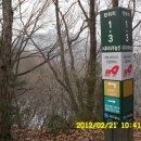 수원-0495 이미지