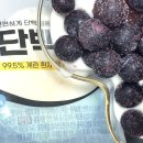 고흥삼천리자전거 | 다이어트 5일차 기록 (feat. 위시리스트 +tmi)