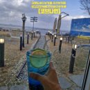 코브나인 | [코브나인]대부도바다뷰카페,안산바다뷰카페,철길감성카페,오션뷰카페,대부도드라이브,코발트 빛 바다를...