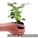 지니어스에어 이미지