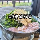 맛대구탕 | 속초 대포항 맛집 속초맛 생대구탕 | 속초 여행 아침식사 추천 속초 생대구탕 물곰탕