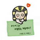 중동주유소 | 이집트에 간 사람들의 여행기(3) : 낭만력 미쳐버린 모마 바하리야 사막투어 후기(w. 휘성가이드)