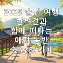 순천게스트하우스 느림 | 반려견과 함께하는 2025 전남 순천 애견 동반 숙소 및 까페 추천
