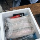 용인 이동읍 맛집 통나무집 바베큐장 동물 먹이주기 체험과 키즈 수영장