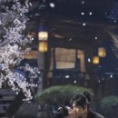 뽀뽀