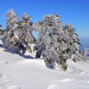 산아 산아 한라산아 - 천안시립합창단 이미지