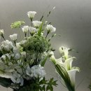 지민50 | (+30주) 바닐라페이퍼 메종 만삭 지민작가님 사진 촬영 후기