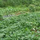 내덕농장 이미지