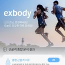 엑스바디 네이버블로그