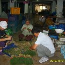 오치상설시장 이미지