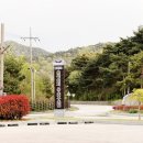 운곡 | 고창여행 숙소추천 운곡 유스호스텔 후기 아이와 1박 운곡람사르습지 근처