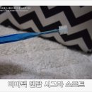 시그마덴탈 | <임산부 칫솔> 약한 잇몸을 위한 부드러운 칫솔모, 비바텍 덴탈 시그마 칫솔 후기