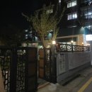 플레르룬 이미지